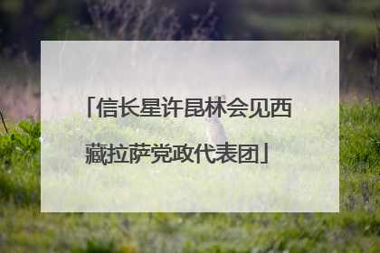 信长星许昆林会见西藏拉萨党政代表团